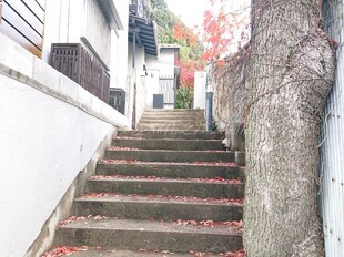 松園町戸建の物件内観写真